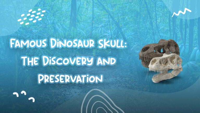 Famous Dinosaur Skull: The Discovery and Preservation