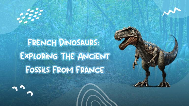 French Dinosaurs: Exploring The Ancient Fossils From France