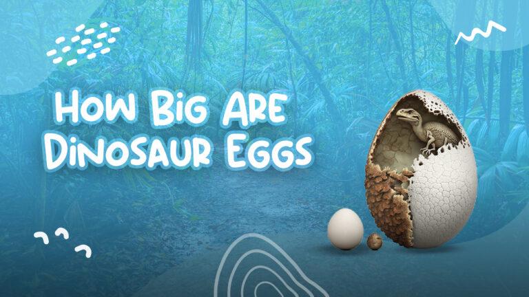 How Big Are Dinosaur Eggs