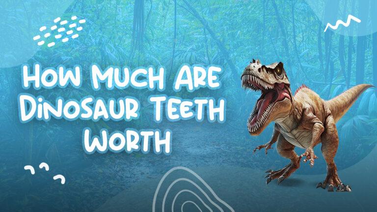 How Much Are Dinosaur Teeth Worth