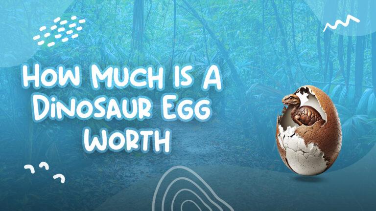 How Much Is A Dinosaur Egg Worth