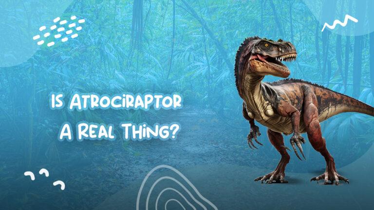 Is Atrociraptor A Real Thing?
