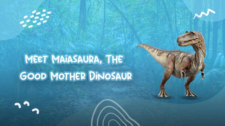 Meet Maiasaura, The Good Mother Dinosaur