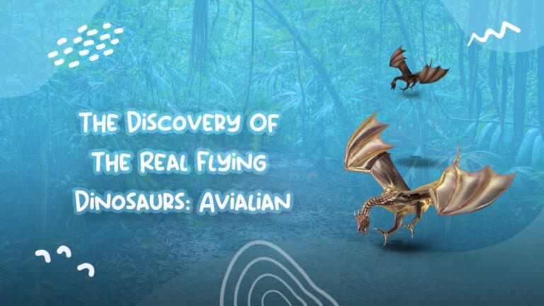 The Discovery Of The Real Flying Dinosaurs: Avialian