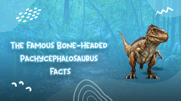 The Famous Bone-Headed Pachycephalosaurus Facts