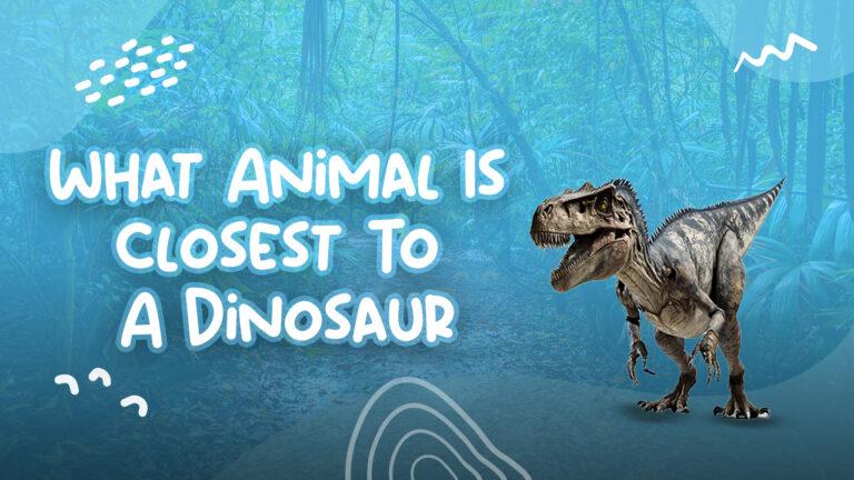 What Animal Is Closest To A Dinosaur