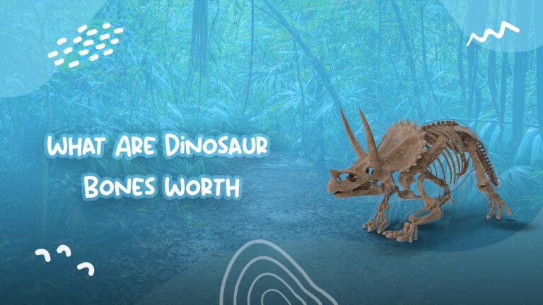 What Are Dinosaur Bones Worth