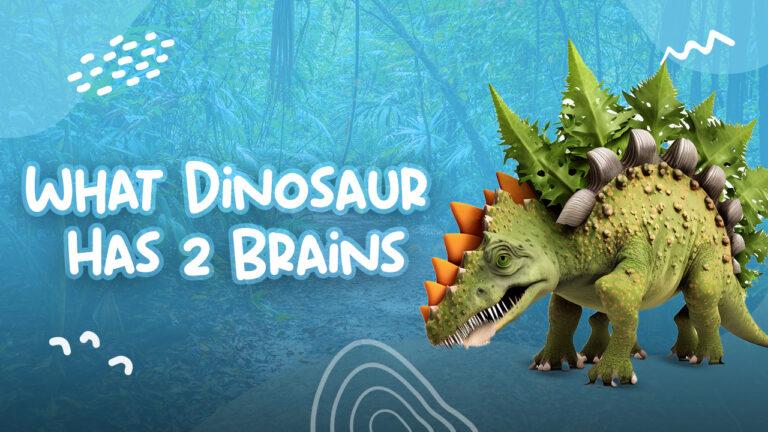 What Dinosaur Has 2 Brains