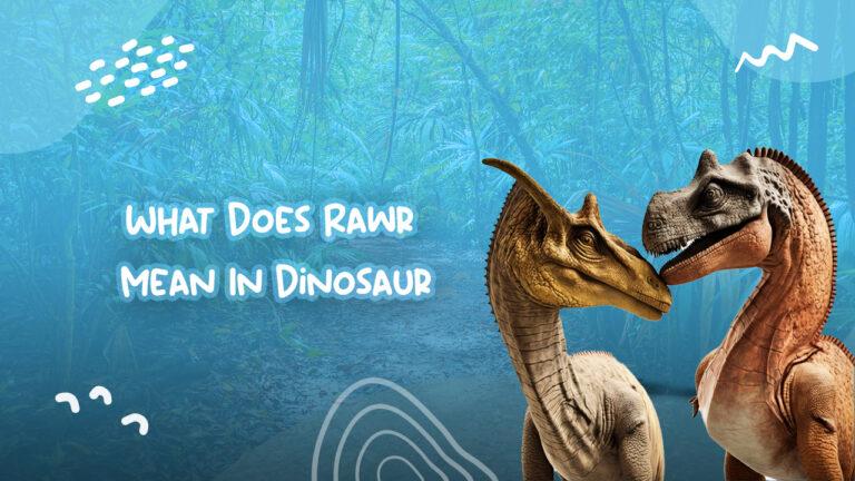 What Does Rawr Mean In Dinosaur