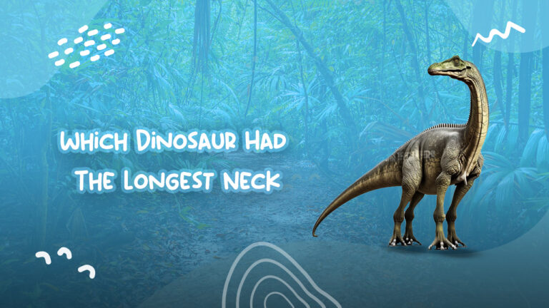 Which Dinosaur Had The Longest Neck