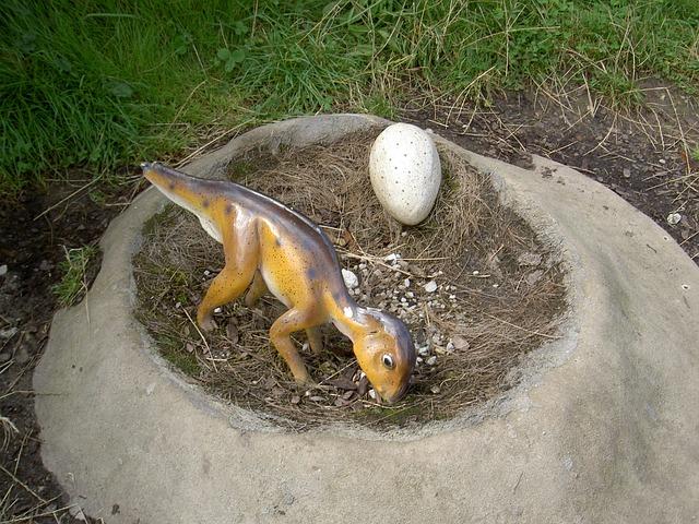 how big are dinosaur eggs