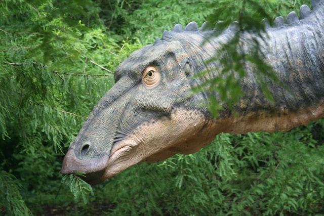 Exploring the Diet of Herbivore Dinosaurs: What Plants Did They Eat? 