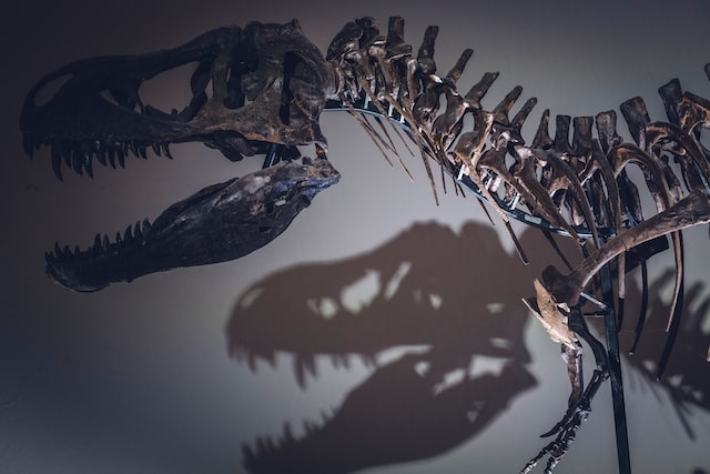 The Suchomimus Dinosaur: A Closer Look at the Crocodile Mimic