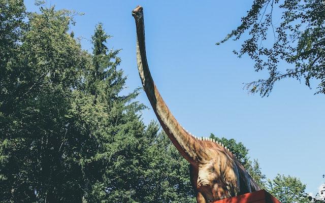 Diplodocus Dinosaur Facts: The Longest Dinosaur