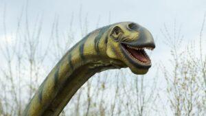 The Fascinating World of Diplodocus Teeth