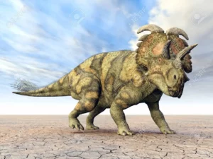 Albertaceratops – The Unique Ceratopsian Dinosaur From Alberta 