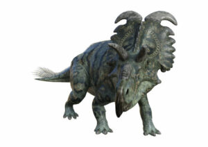 Albertaceratops – The Unique Ceratopsian Dinosaur From Alberta