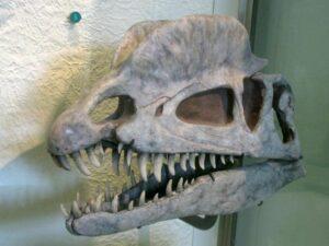 The Fascinating Dilophosaurus Fossil