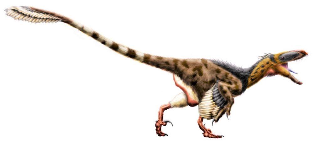 Achillobator: The Enigmatic Dinosaur of the Late Cretaceous Period