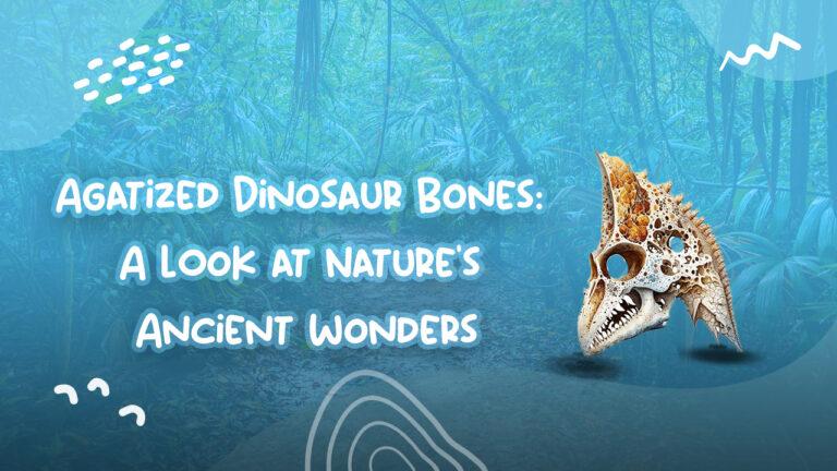 Agatized Dinosaur Bones: A Look at Nature’s Ancient Wonders
