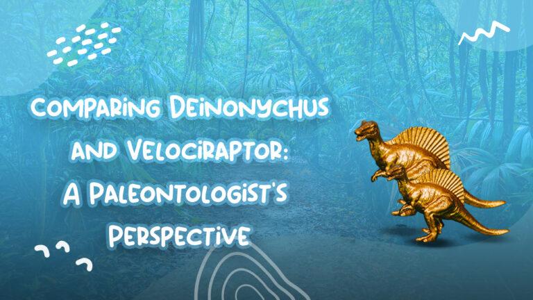Comparing Deinonychus and Velociraptor: A Paleontologist's Perspective