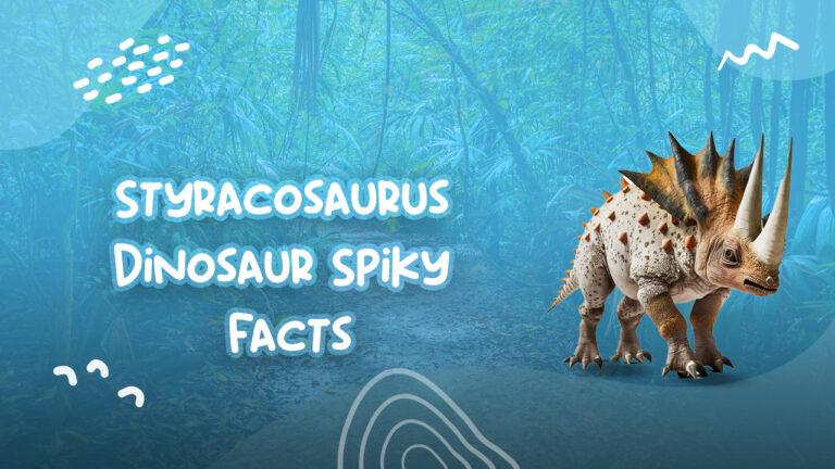 Styracosaurus Dinosaur Spiky Facts
