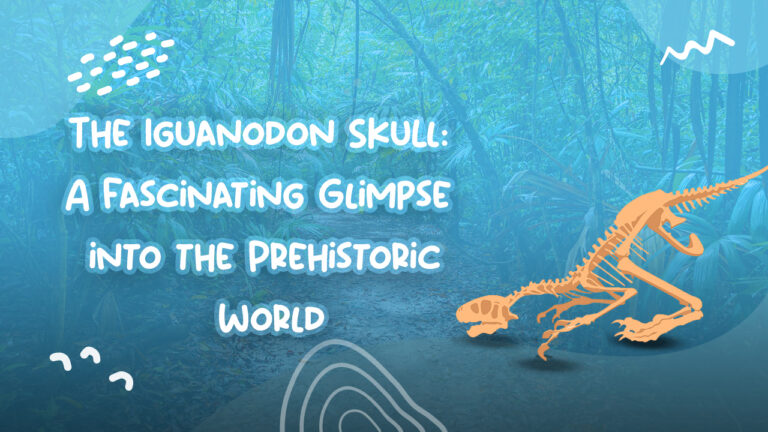 The Iguanodon Skull: A Fascinating Glimpse into the Prehistoric World