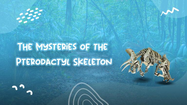 The Mysteries of the Pterodactyl Skeleton