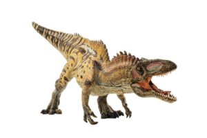  The Acrocanthosaurus Dinosaur, An Impressive Jurassic Beast 
