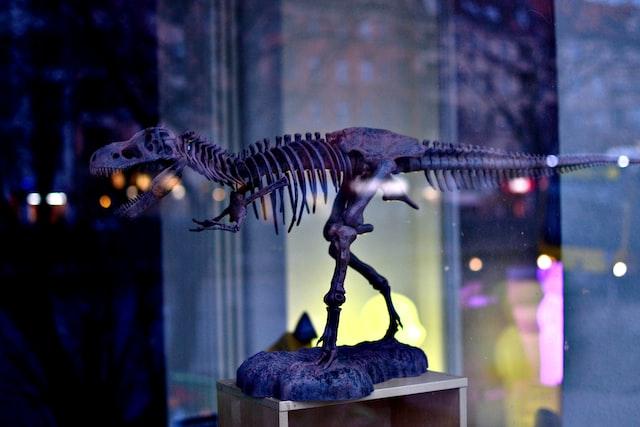 Micropachycephalosaurus: The Longest Dinosaur Name