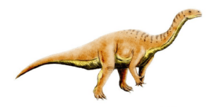 Arcusaurus: The Evolutionary Journey of an Enigmatic Dinosaur